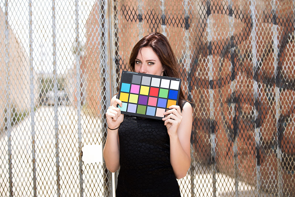 Rebecca Buchanan Color Card.