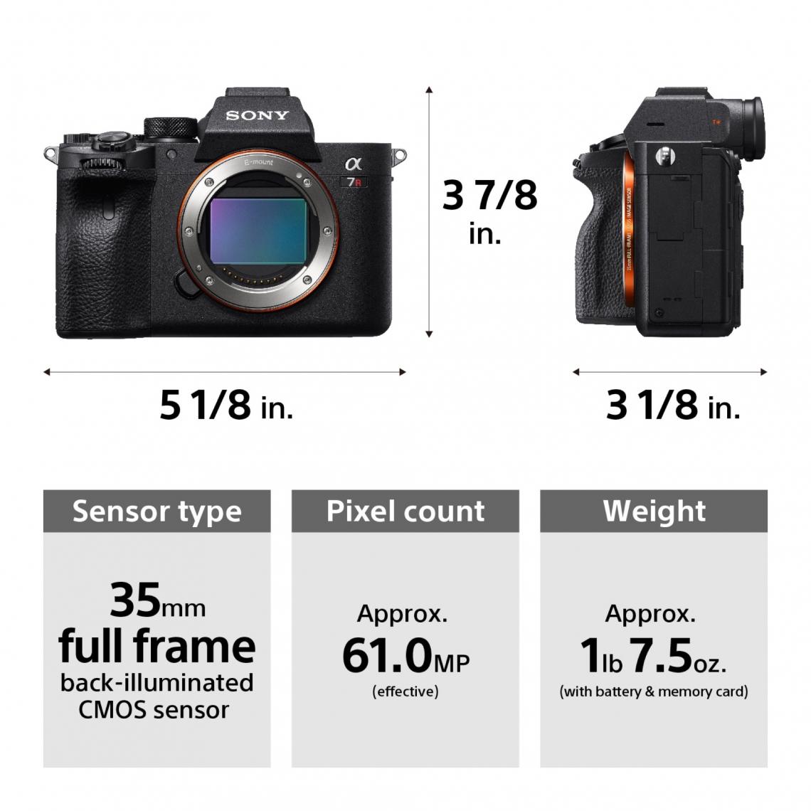 Sony Introduces 61 Megapixel α7R IV